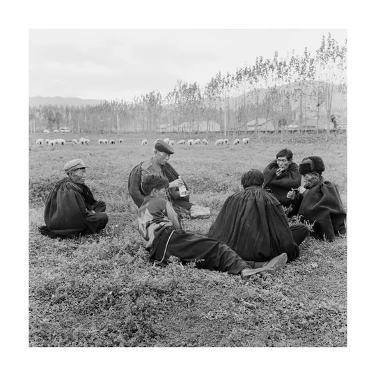 黑白照片 男人和女人坐在田野里