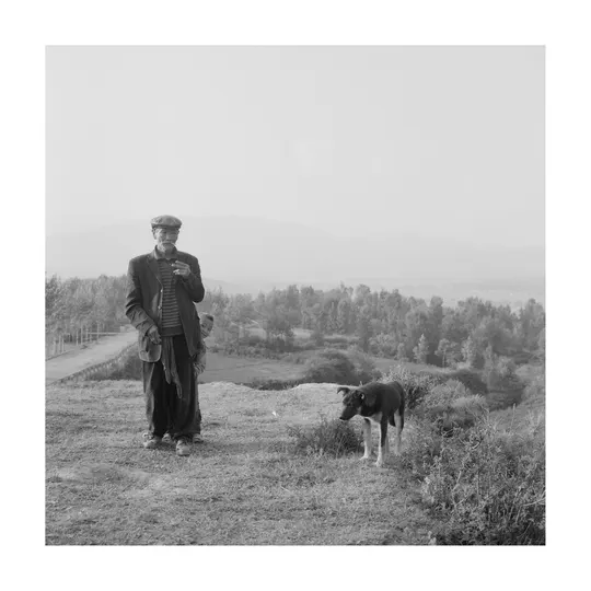 黑白照片 一位男子站在一个田野里 有一只狗。