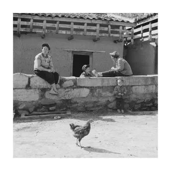 一张黑白照片 一家人坐在房子的外面墙上 一只鸡站在他们后面。