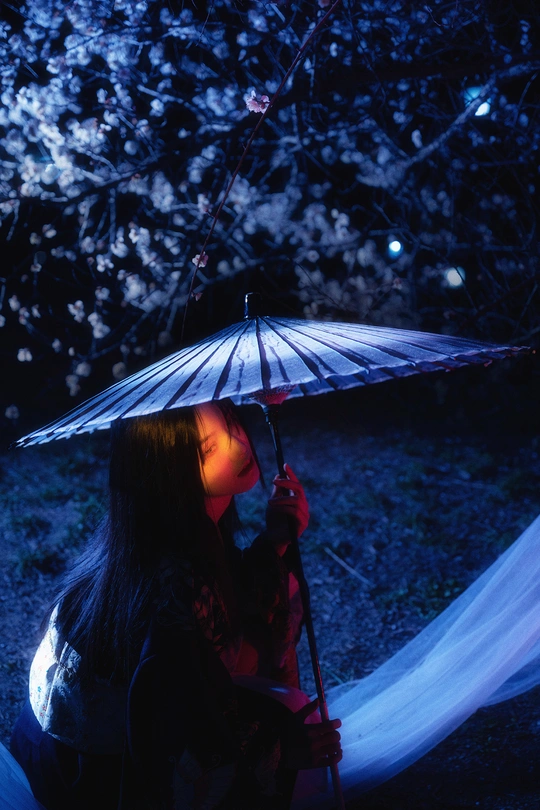 一个年轻女子手持雨伞坐在点亮的树下