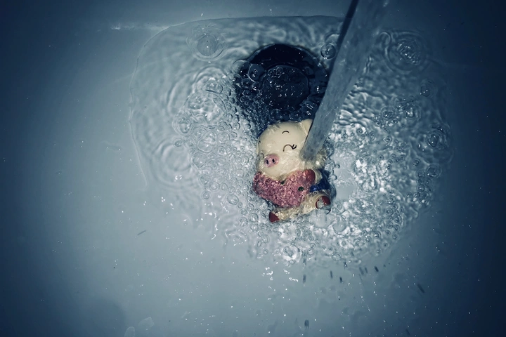 小猪