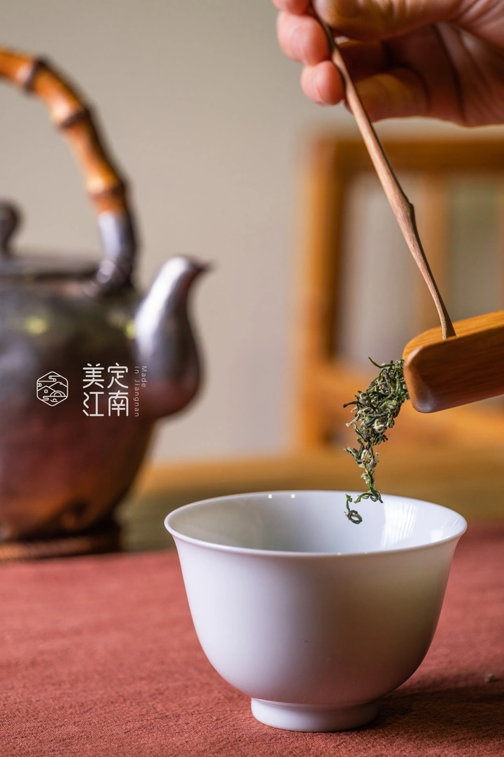 碧螺春 茶摄影