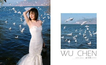 一位穿着婚纱的女士 背景中有海鸥和水面。