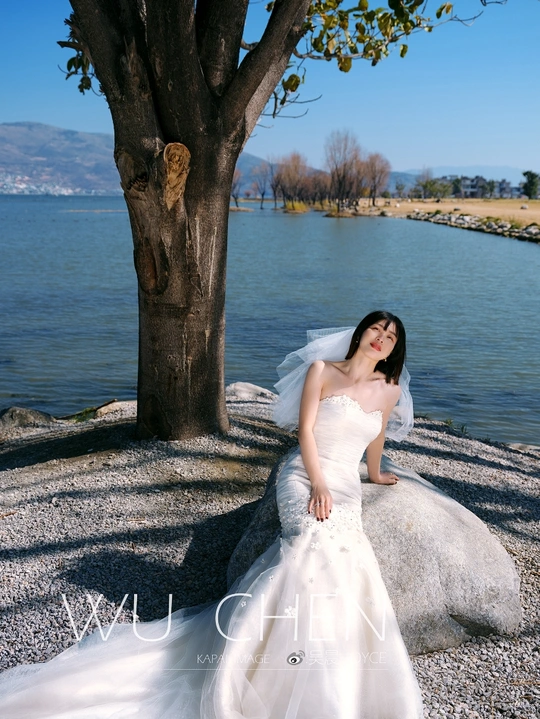 一位穿着婚纱的美女在湖边岩石上与树和海滩上的岩石一起摆姿势