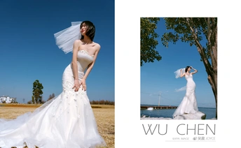 新娘穿着婚纱的一幅画
