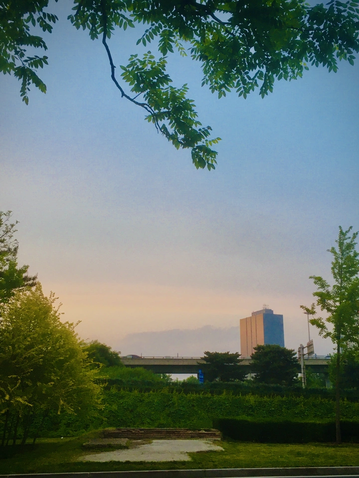夕阳日下