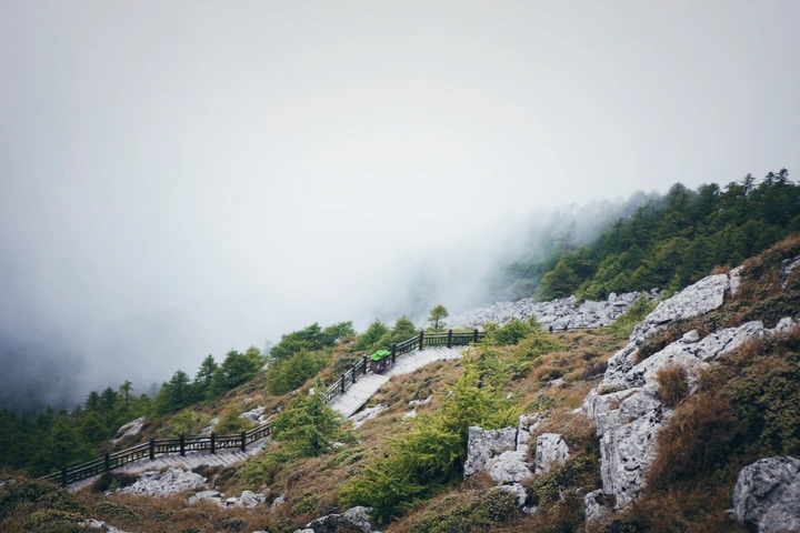 云雾掩映 满目苍翠