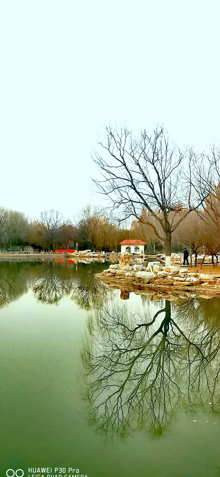 春风又绿植物园