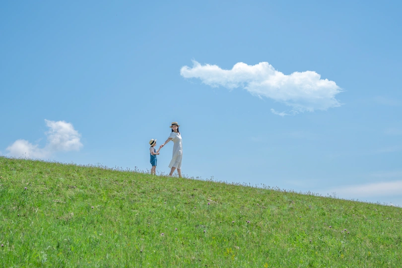 一男一女手牵着手走下长满青草的小山 孩子站在另一边 蓝天和风筝在空中