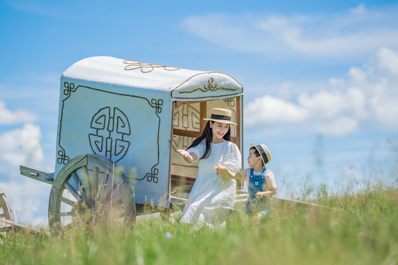 几个人坐在草地上 一个女孩坐在马车上