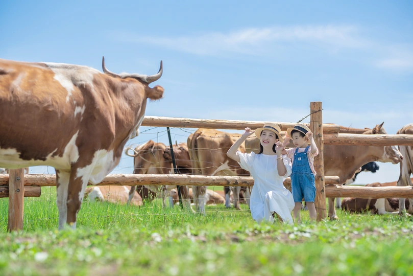 一名妇女和一名小女孩在田野里与围栏后的奶牛合影