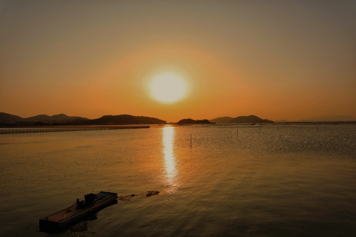 海堤走走