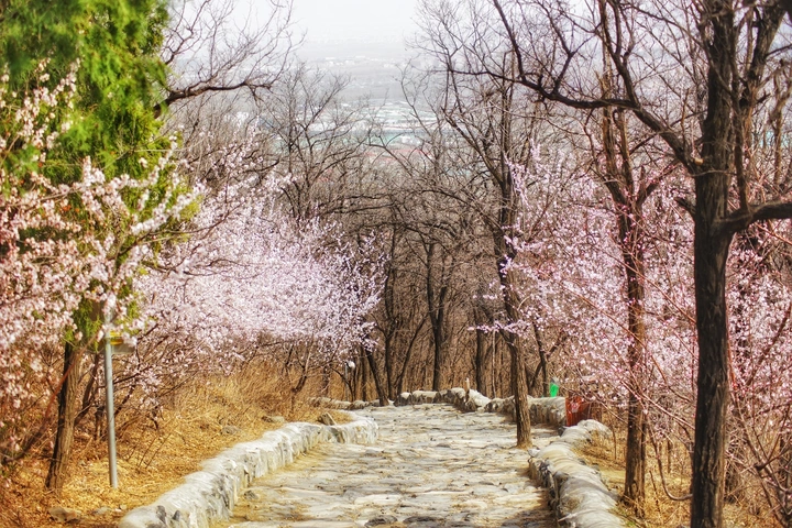 西山阳台山风景区①