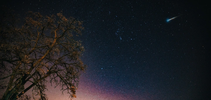 该摘的星星一个也不会落