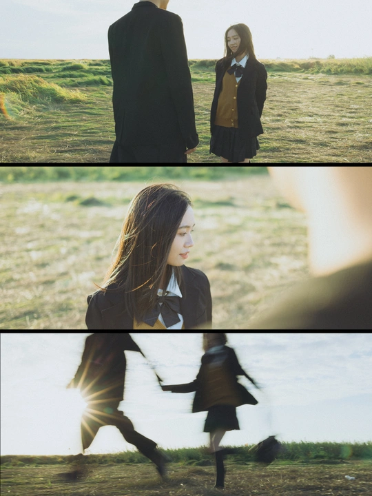 一些人在穿过一个田野