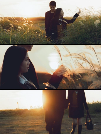 夕阳下在草地上行走的男女手牵手的剪影