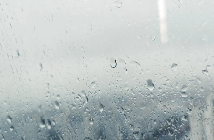 雨