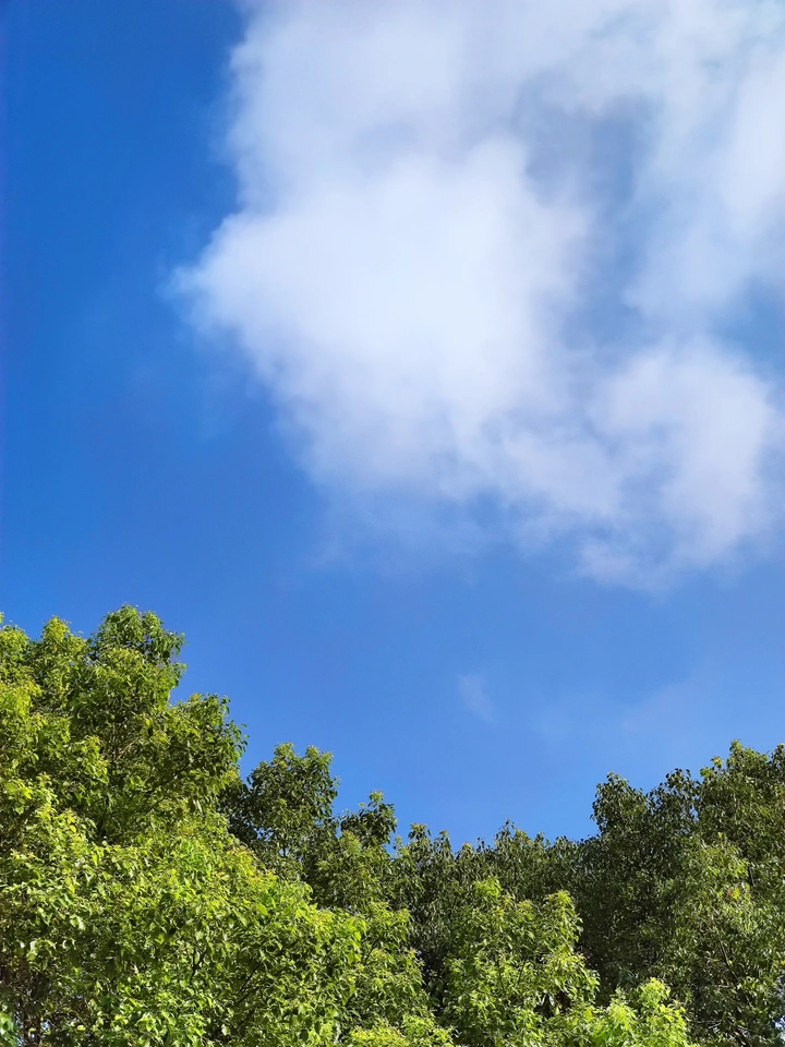 放空