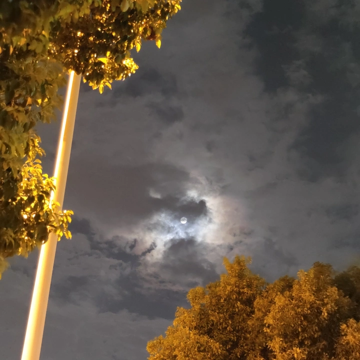 月夜