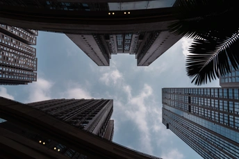 抬头仰望高耸的建筑物和蓝天下的棕榈树