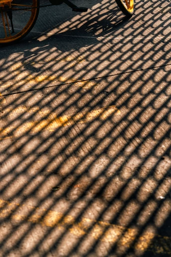 一个人骑自行车 马车和马车在街上 一个阴影