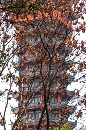 城市中的一座高塔 前景中有树木。