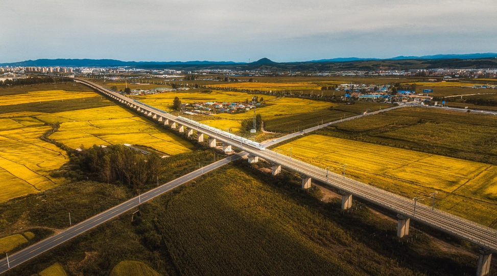 黄色田野和一条公路的 aerial landscape