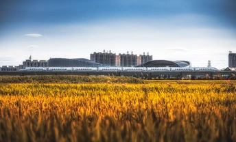 在机场前方的一个田野 背景是一个城市