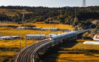 乡村小路上行驶的火车