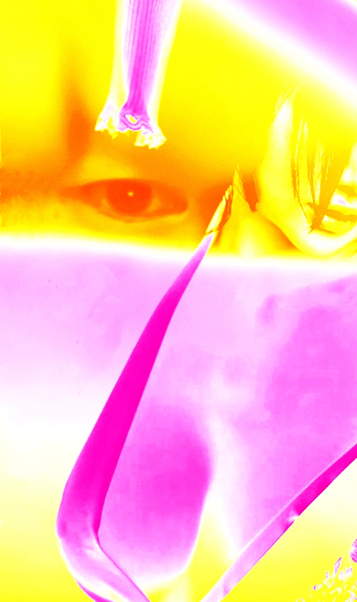 窥