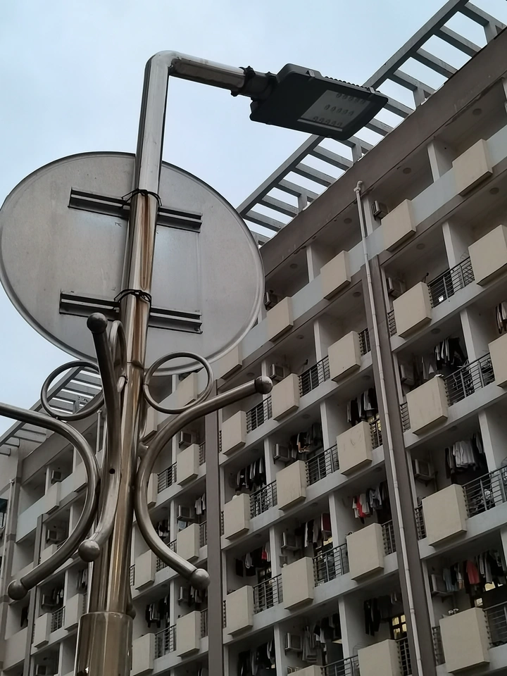 学校