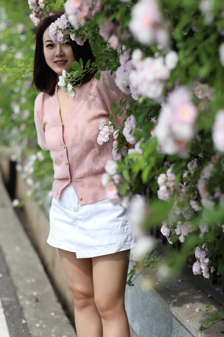 花开时光