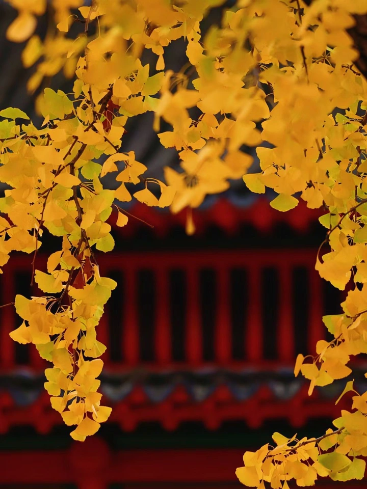 南京· 毗卢寺