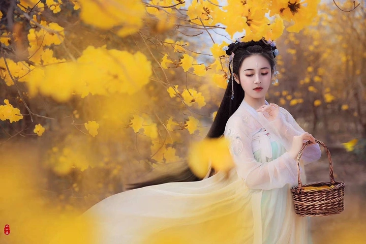 春季风铃花