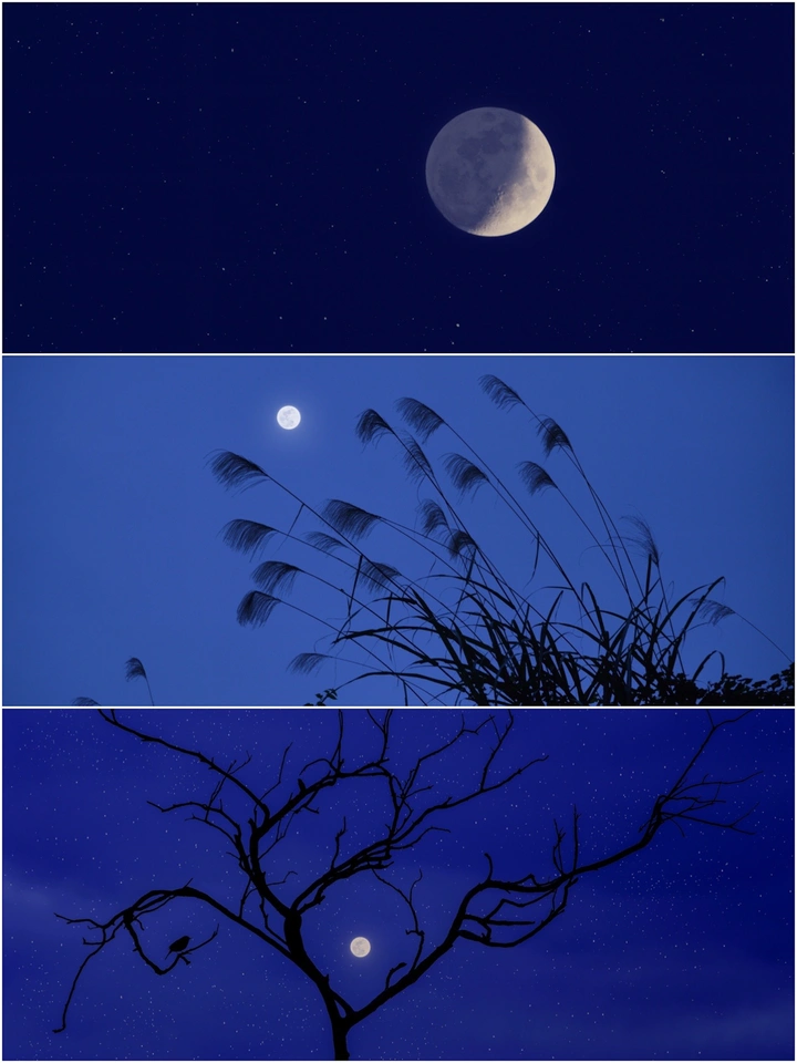 🌙月/ 暮色
