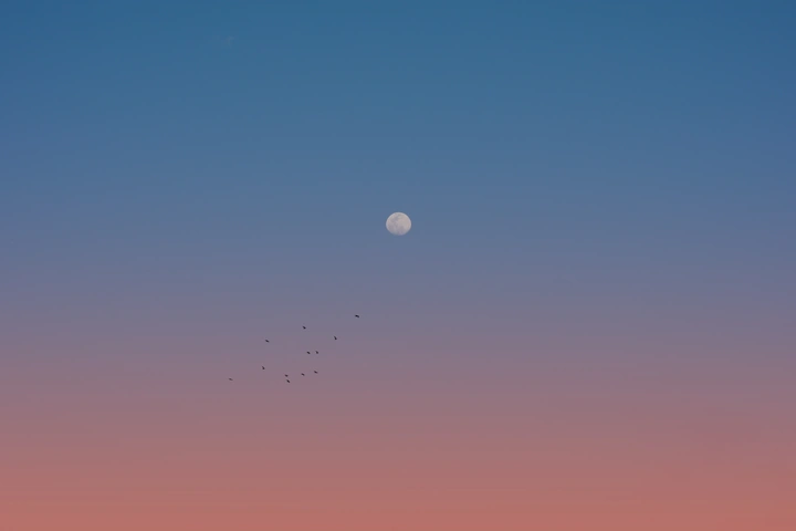 暮色