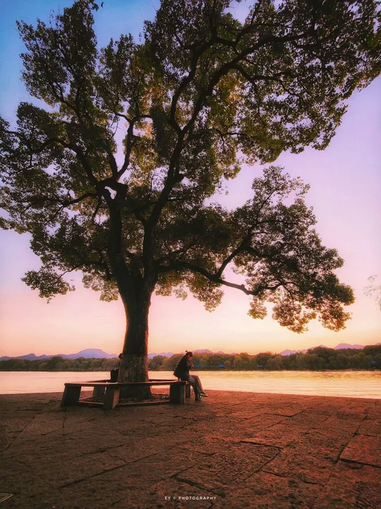 夕阳下 在湖边一棵大树下 坐着一两个人。
