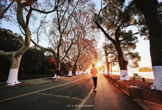 夕阳下 一男一女在跑街 道路两旁有树。