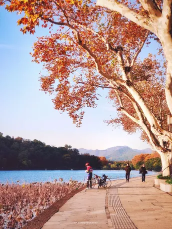沿着湖边的小径 人们正在走路和骑自行车 周围有树木。