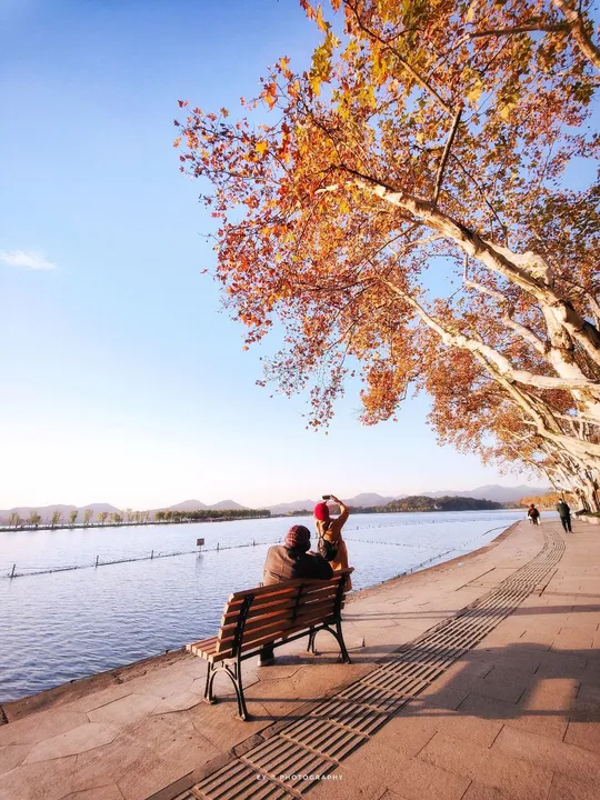 一些人在一个水体旁边的一张长椅上坐着 旁边有一棵树。
