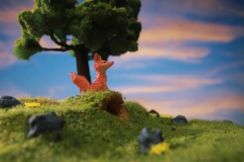 一只坐在小山丘顶的红狐狸