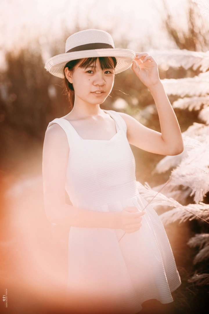 【逆光芦苇】