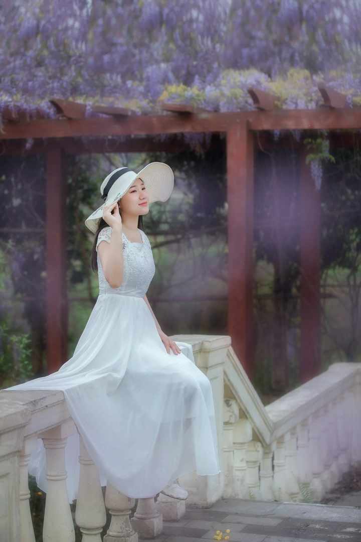 【紫藤花开】