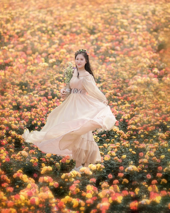 【玫瑰仙子】