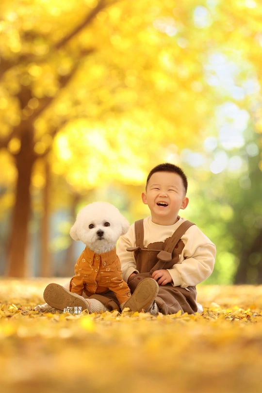 公园里的一幅儿童肖像 配有一只小白狗。
