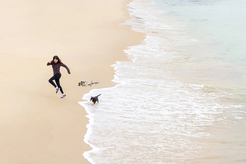 一个人和一只狗在沙滩上奔跑 远处有一个人在冲浪板上的俯视图。