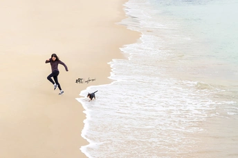 一个人和一只狗在沙滩上奔跑 远处有一个人在冲浪板上的俯视图。