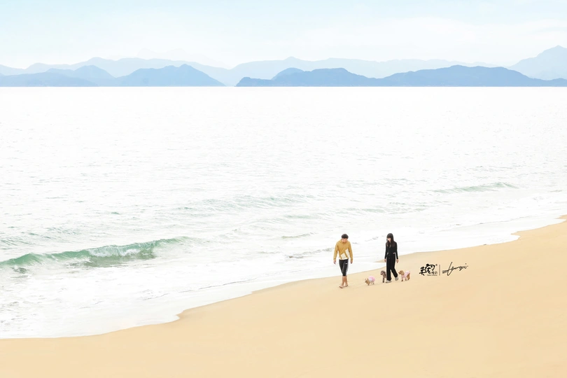 一个男子和女子带着狗在靠近海洋的海滩上散步