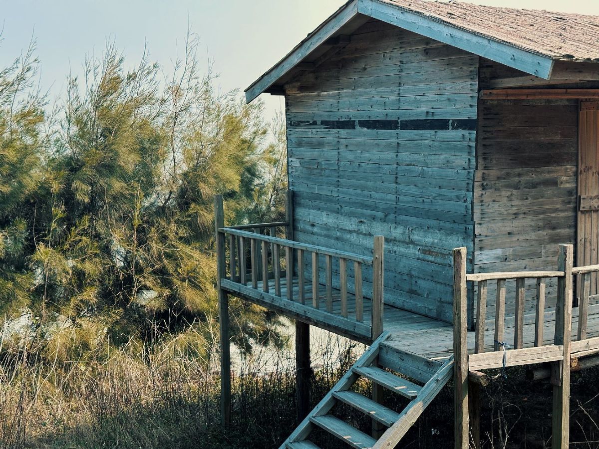 一座用木桩支撑的老木屋坐落在海滩上的树丛中