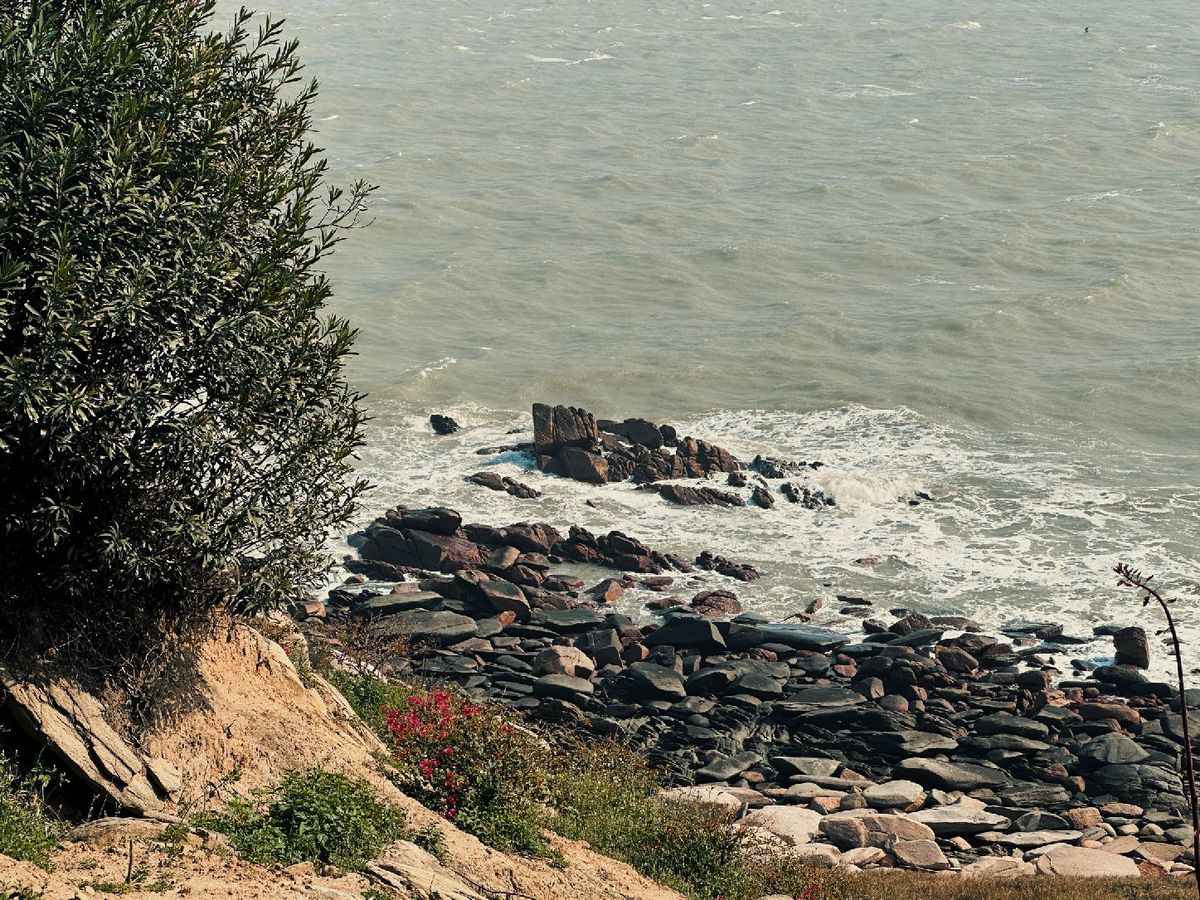 岩石海岸 水体沿岸有树木和岩石。